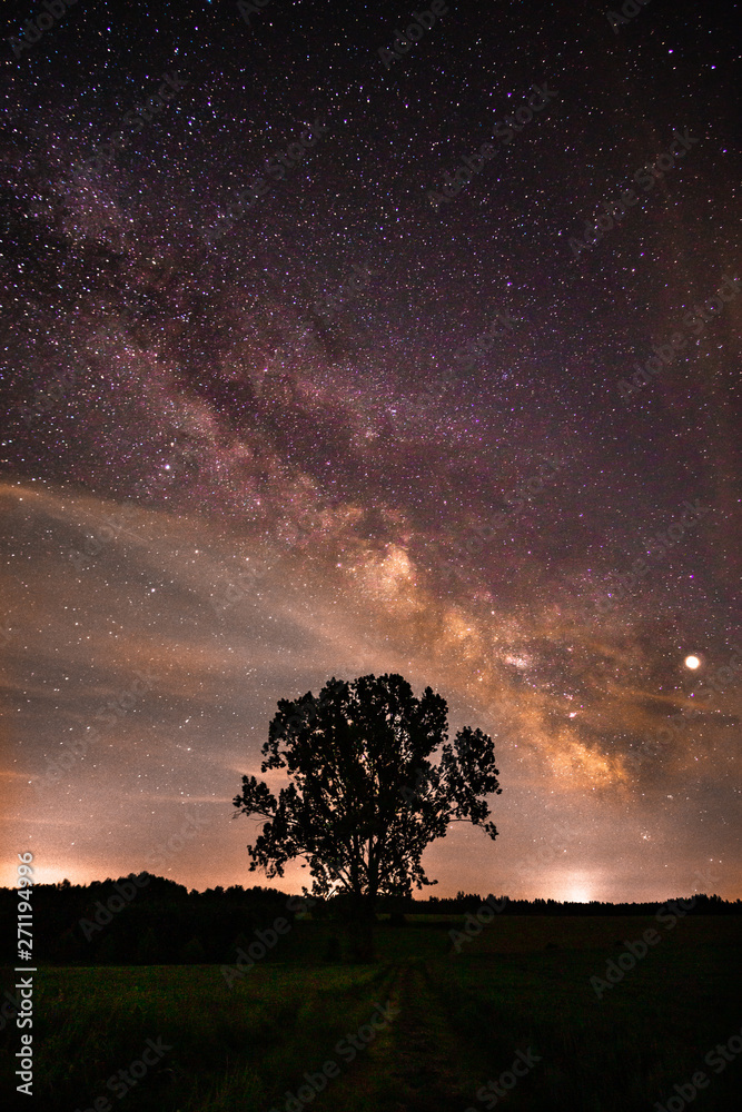 The summer Milky Way in Weissenhorn, Germany - Tree in front - obrazy, fototapety, plakaty 