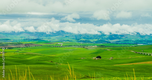 Hill with field in south Italy 2