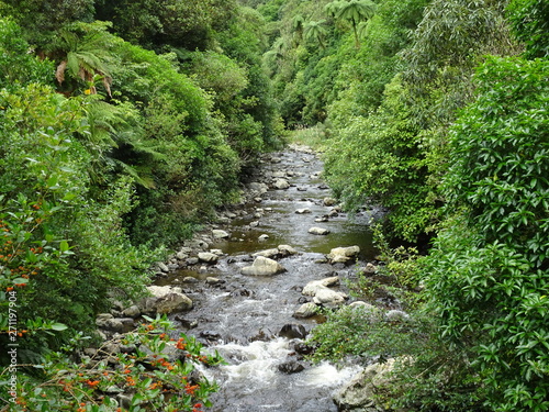 Rivière de Nouvelle-Zélande