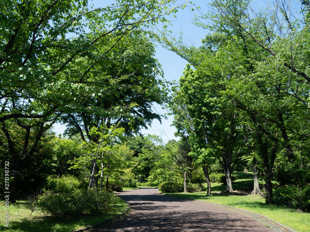 公園 公園
