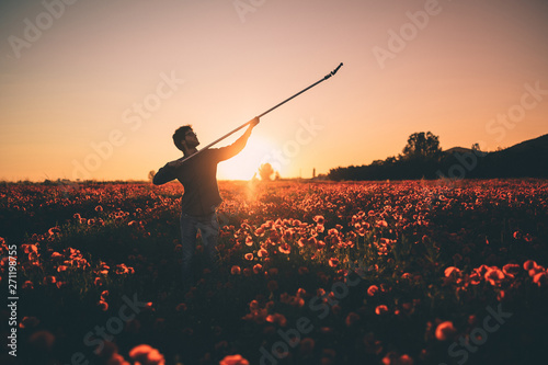 Silhouette di un Videografo con gru in mezzo ad un campo di fiori papaveri rossi nella natura.