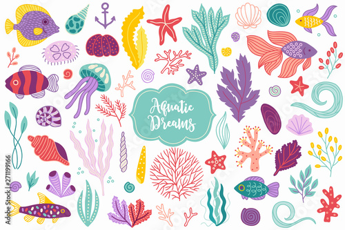 Tableau sur toile Sea animals - fish, jellyfish, seaweed, starfish, shell, corals, polyp