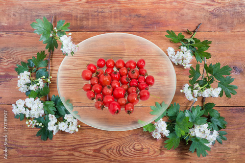 Hawthorn fruits on glass saucer among flowering branches hawthorn plant
