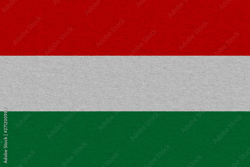 hungary flag painted on paper