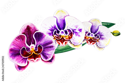 Tree beautiful colorful orchid flowers. Watercolor painting. Exotic plant. Floral print. Botanical composition. Wedding and birthday. Greeting card. Flower painted background. Hand drawn illustration.