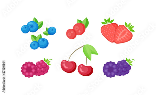 Fototapeta Naklejka Na Ścianę i Meble -  Isolated fresh berries with slices collection vector illustration. Set of natural berries on white background with delicious slices for beverage season offer or cafe menu promotion