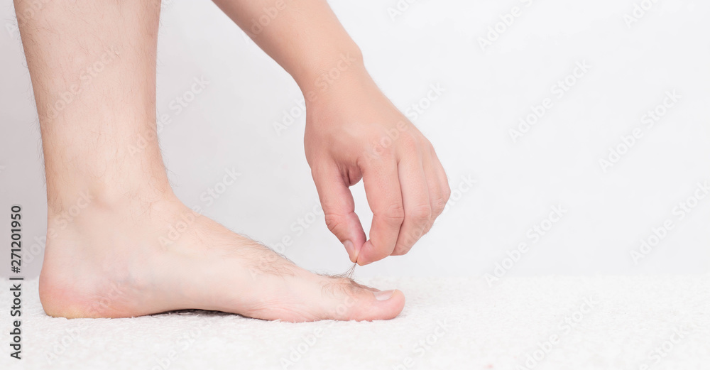 Male hair on toes and legs, white background, concept of hair removal on the skin, copy space Male hair on toes and legs, white background, concept of hair removal on the skin, copy space