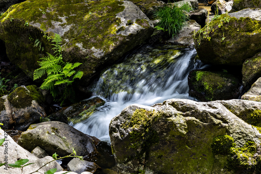 Cascada Cascada