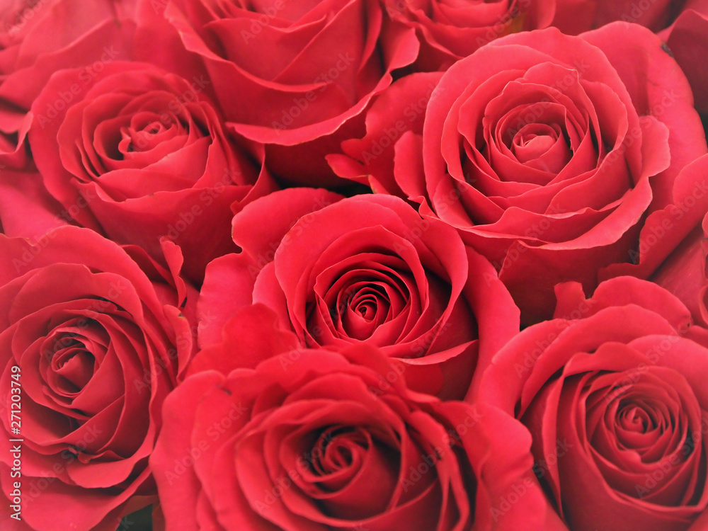 Red roses in a bouquet, close up. Red roses in a bouquet, close up.
