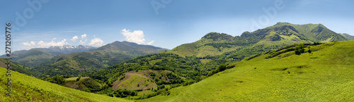 panoramic of mountain landscape in summer. Pyrenees