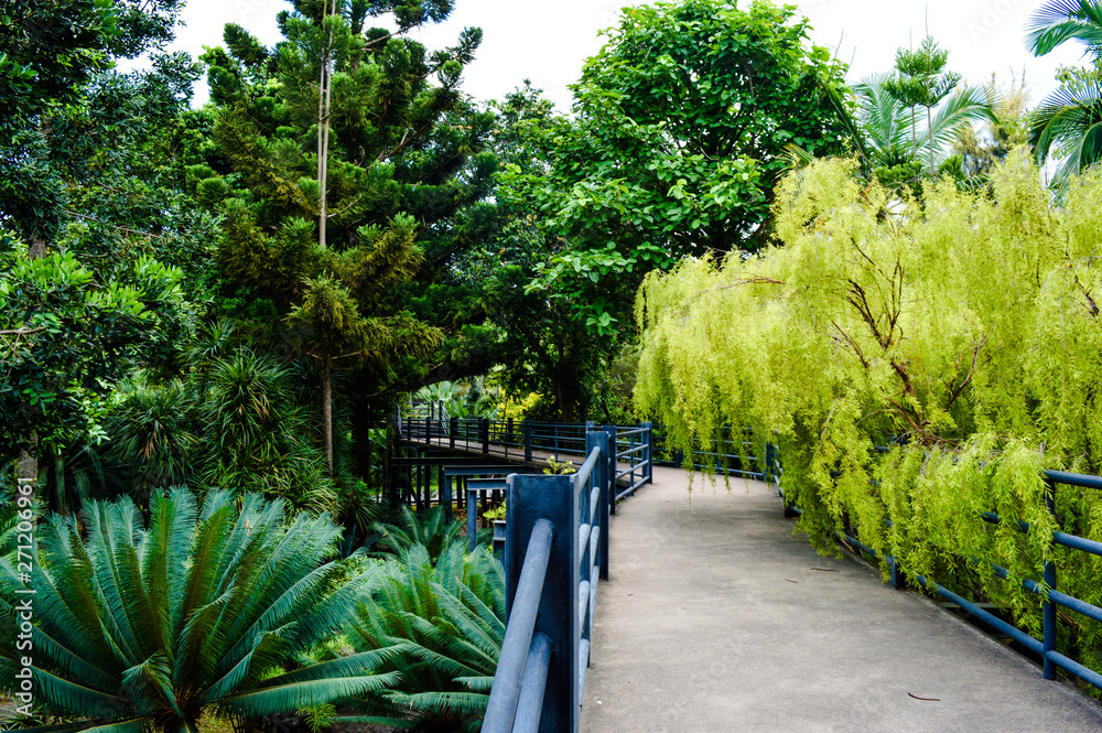 Fototapeta premium path in the park