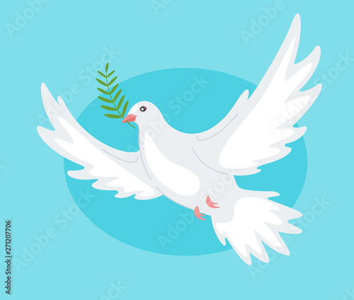 Beautiful peace dove 
