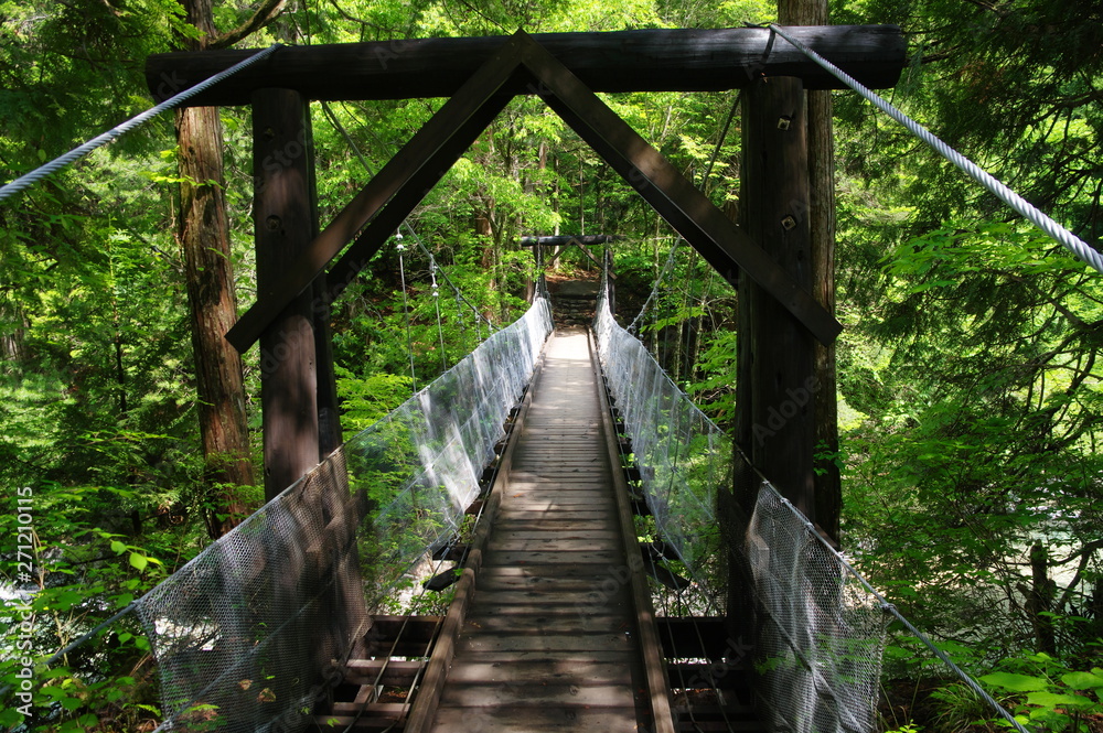 新緑と吊り橋　阿寺渓谷
