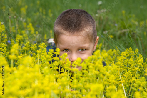 Cute little boy lying in the grass and flowers and laughing