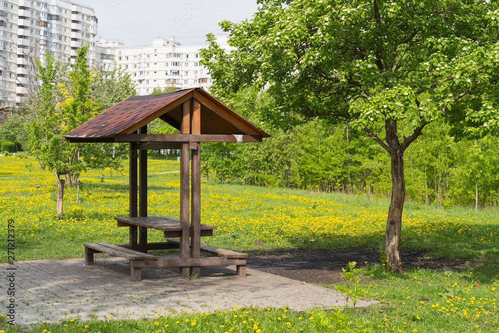 picnic place in public park near apartment building, yellow dandelions meadow and spring tree around