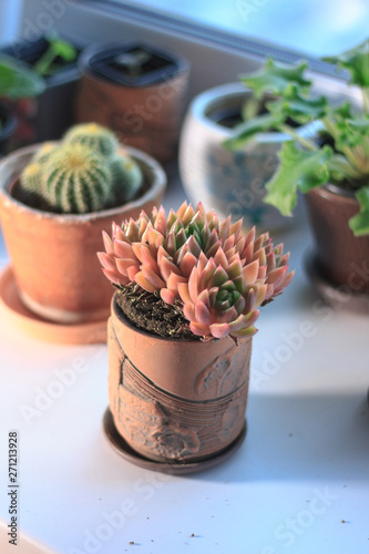 Beautiful pink and orange s...