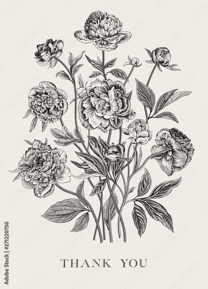 Fototapeta Vintage vector floral illustration. Flower arrangement. Peonies. Black and white. Greeting card. Thank you