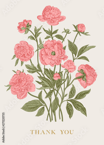 Vintage vector floral illustration. Flower arrangement. Peonies. Coral and white. Greeting card. Thank you