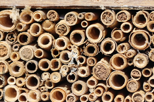 Rettet die Bienen - Detailaufnahme eines Insektenhotels
