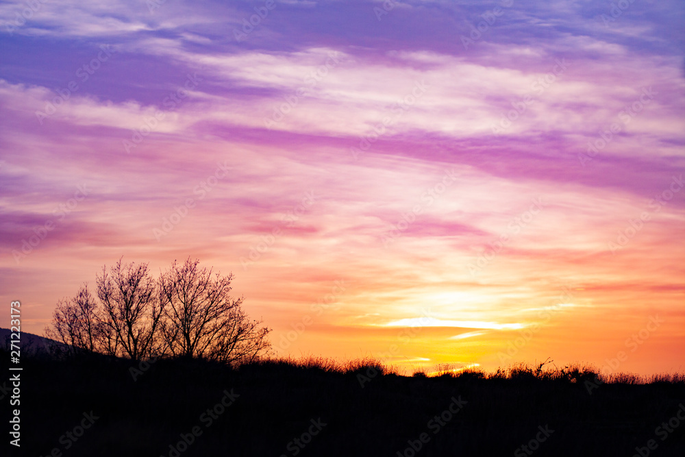 LANDSCAPE OF ILLUMINATED SKY IN THE EVENING AND TREE TO BACKLIGHT