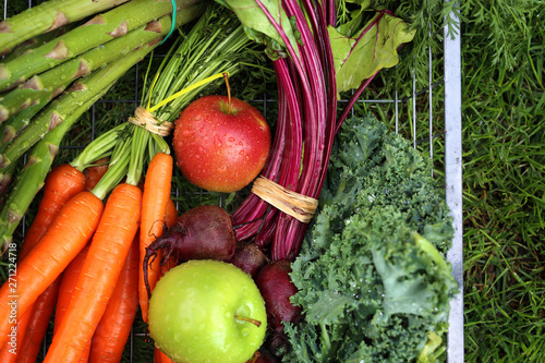Organic vegetables. Green, healthy ingredients of the diet.