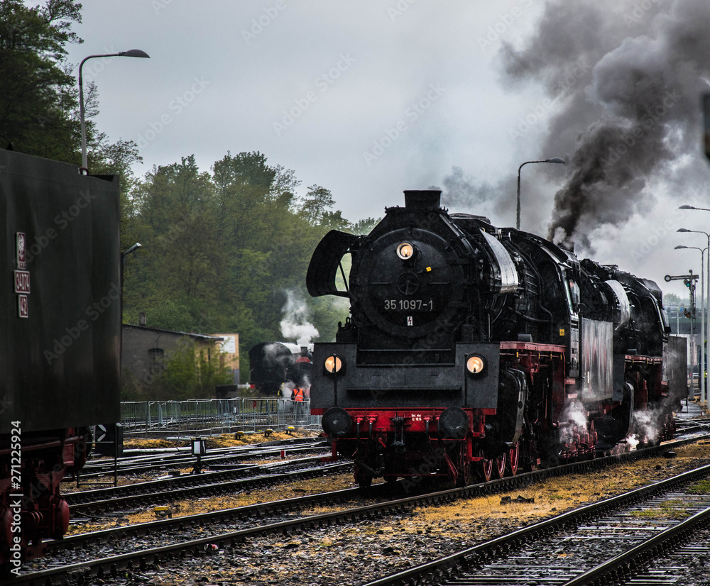 Obraz premium Parada parowozów 2019 Wolsztyn