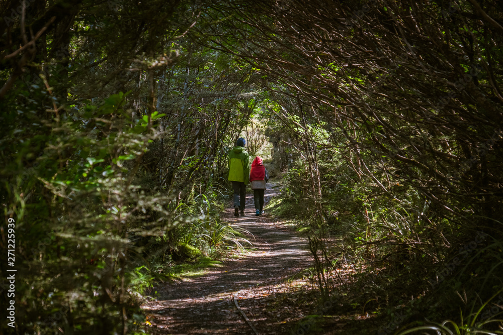 Woman and boy hiking in the forest in Tongariro National Park, New Zealand North Island