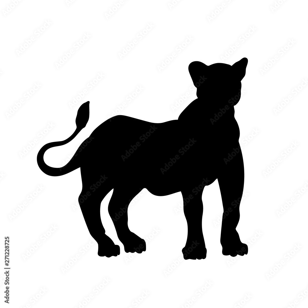 Black silhouette of  standing lion on white background. Lioness image. Isolated icon of wild cat. African animals