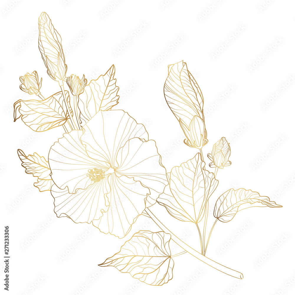 Golden greeting/invitation card template design element, hibiscus leaves with flowers branch isolated on white background,