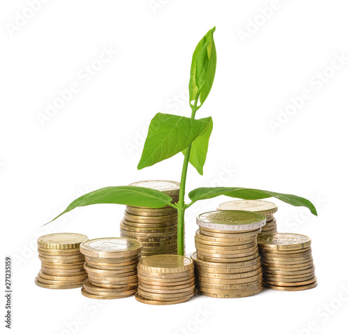 Coins with growing plant on white background. Money savings concept