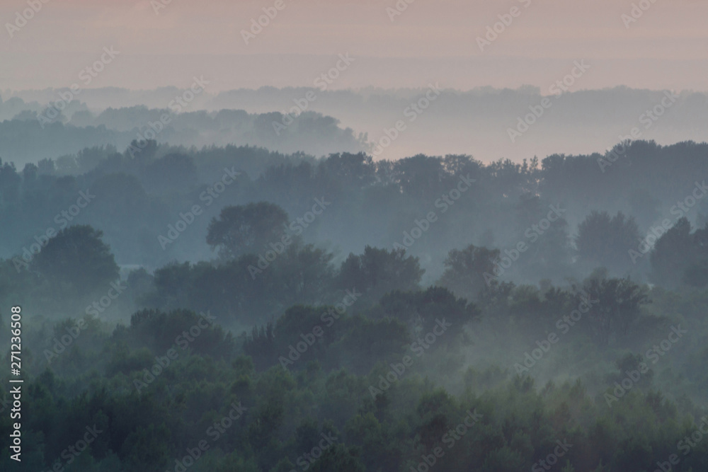 Mystical view from top on forest under haze at early morning. Mist among layers from tree silhouettes in taiga under warm predawn sky. Morning atmospheric minimalistic landscape of majestic nature.