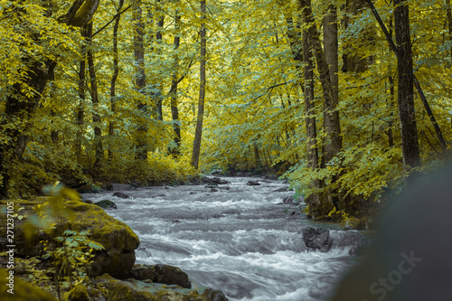River. Nature. Stones are washed with water. Beautiful landscape. Green forest near with small river. Large trees. Black woods on background. Wallking in the park in the summer time.