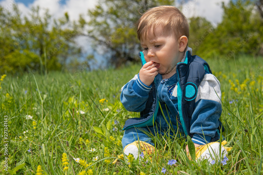 The baby boy sits in the nature and plays with the grass The baby boy sits in the nature and plays with the grass