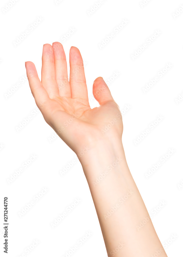 Obraz premium Female hand gesture isolated on white background