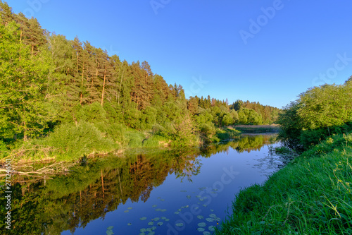 Picturesque landscape with a calm river near the forest in the evening. 