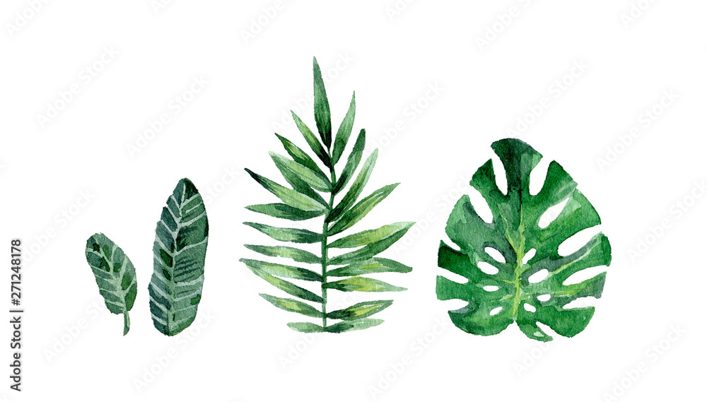 Watercolor summer set with tropical leafs. Hand drawn vintage clip art. Exotic collection isolated on white background - obrazy, fototapety, plakaty 