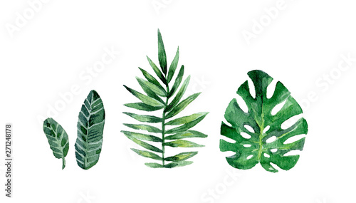 Watercolor summer set with tropical leafs. Hand drawn vintage clip art. Exotic collection isolated on white background