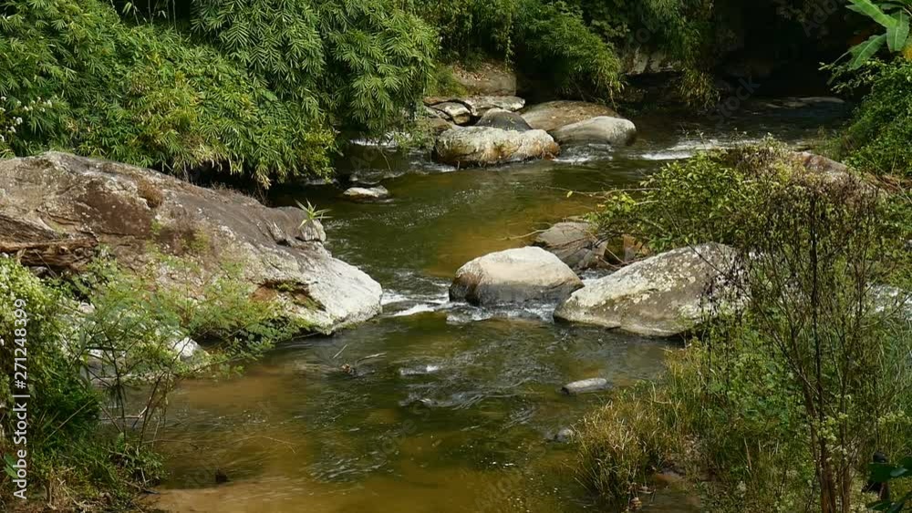 Water stream frothing on rocks in a river bank by the forest. Water stream frothing on rocks in a river bank by the forest.