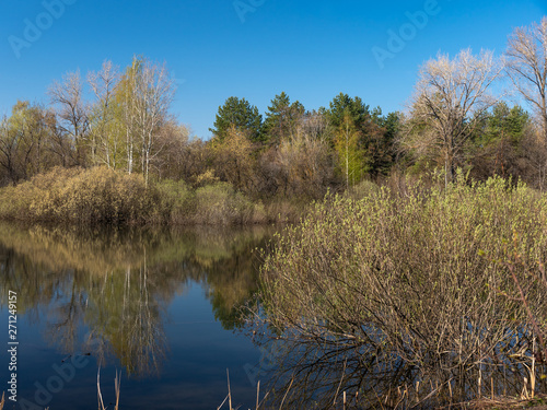 Spring woodland landscape - forest lake on a sunny day