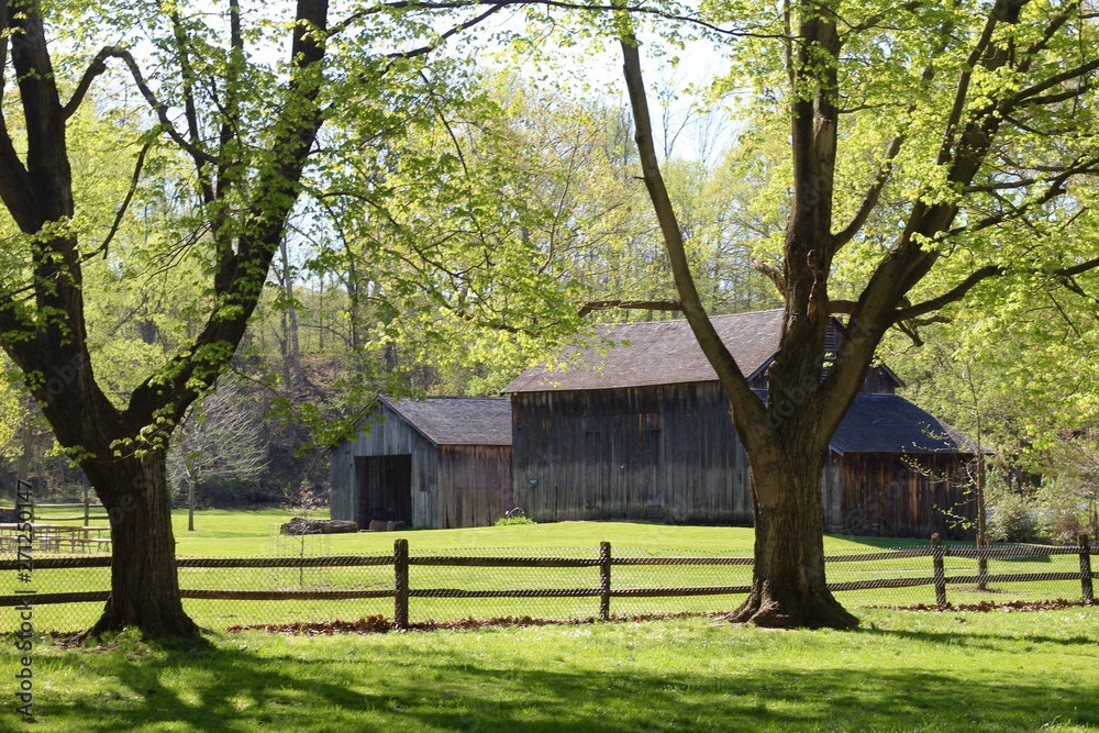 A old abandon wood barn in the sunny country landscape.