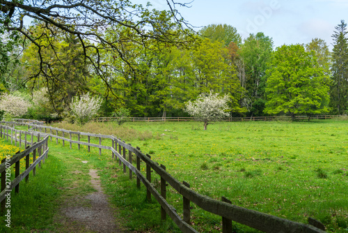 Passage trough green pastures with wooden fence