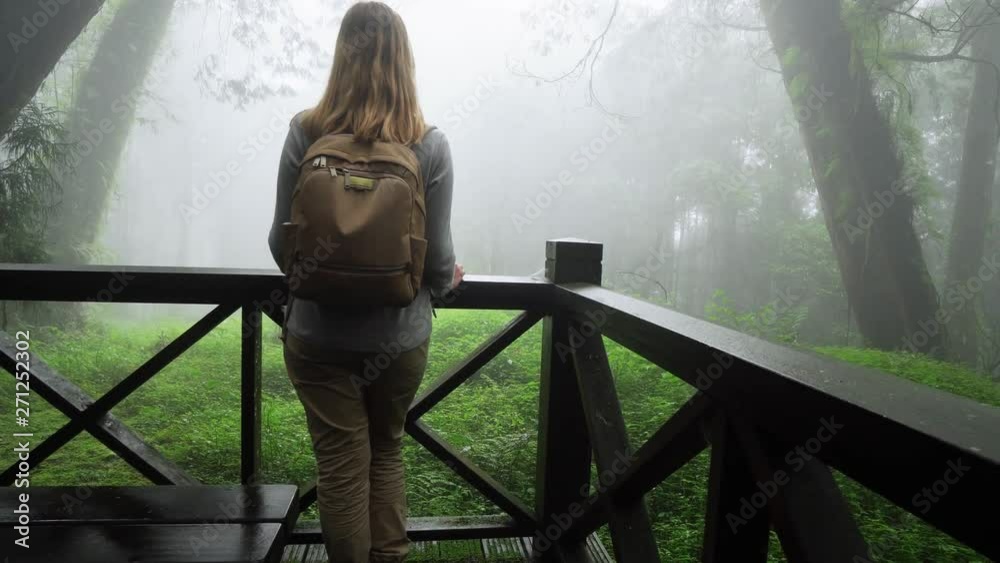 Blonde Caucasian Female Foreign Tourist Visit Alishan Scenic Area Walking Through Forest with Mist, Haze and Fog in Taiwan Blonde Caucasian Female Foreign Tourist Visit Alishan Scenic Area Walking Through Forest with Mist, Haze and Fog in Taiwan
