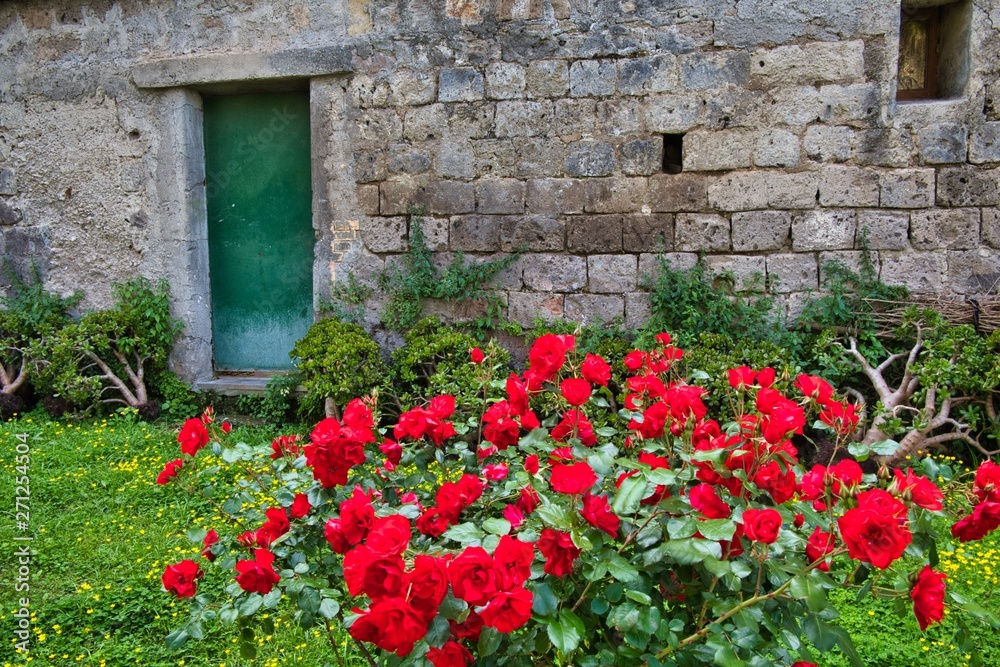 old wall with flowers