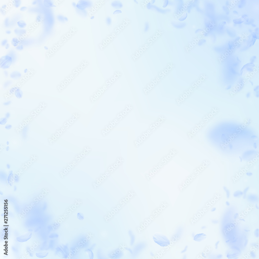 Light blue flower petals falling down. Glamorous r Light blue flower petals falling down. Glamorous r