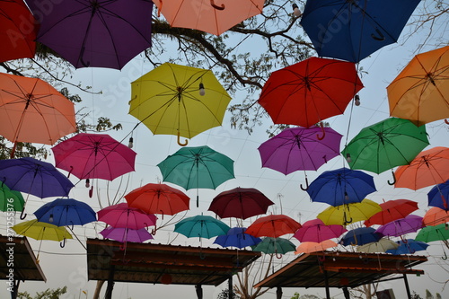 The color and magic of the umbrella