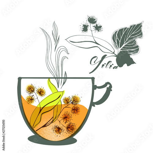Hand drawn linden branch with leafs and flowers