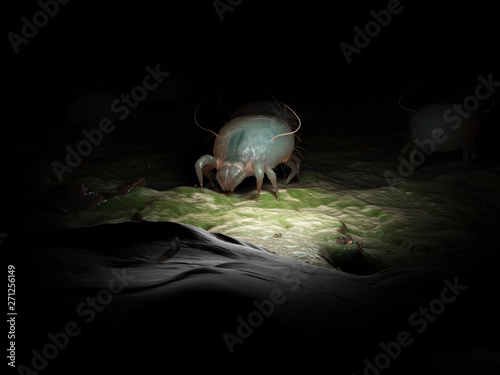 3d rendered illustration of a dust mite
