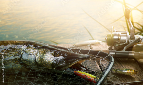 Summer Fishing background. Fishing lure and trophy Pike