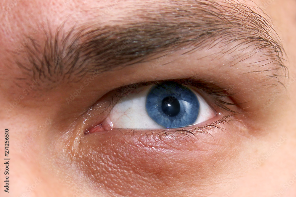 Obraz premium Male blue eye close-up