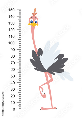 Meterwall or height meter with tall surprising ostrich.